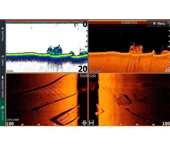 Active Imaging HD 3 en 1 (Media/Alta) SideScan Fish Reveal