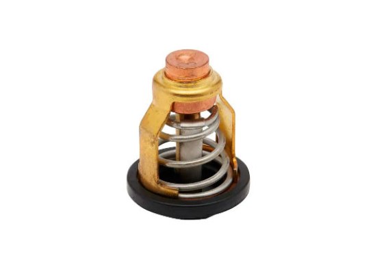 Quicksilver Termostato Mercury 50º Quicksilver Termostato Mercury 50º
