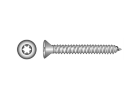 Blister Tornillo ISO 14586